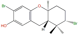 4-Isocymobarbatol