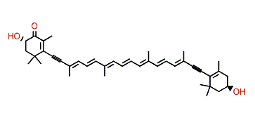 3,3'-Dihydroxy-7,8,7',8'-tetradehydro-beta,beta-caroten-4-one