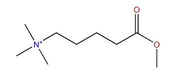 (4-Methoxycarbonylbutyl)-trimethylammonium