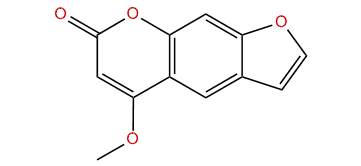 4-Methoxypsoralen