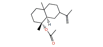 4R-O-acetyl-selin-11-ene