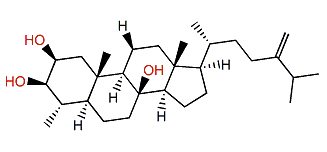 4a-Methyl-5a-ergost-24(28)-en-2b,3b,8b-triol