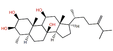 4a-Methylergost-24(28)-en-2b,3b,8b,11b-tetrol