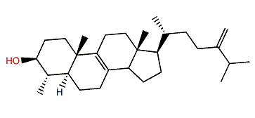 4a-Methyl-24-methylene-5a-cholest-8-en-3b-ol
