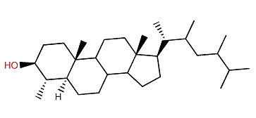 4a,22,23-Trimethyl-5a-cholestane-3b-ol