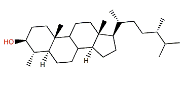 (24S)-4a,24-Dimethyl-5a-cholestane-3b-ol