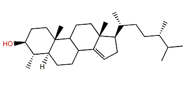 4a,24-Dimethyl-5a-cholest-14-en-3b-ol