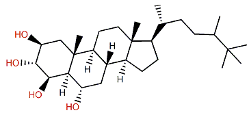 4b-Hydroxyhalistanol