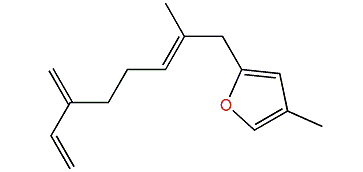 4-Methyl-2-(2-methyl-6-methylene-2,7-octadienyl)-furan