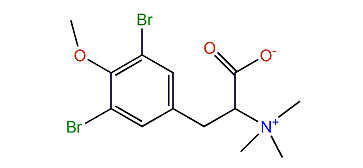4-O-Methyl-N,N,N-trimethyl-3,5-dibromotyrosine