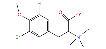 4-O-Methyl-N,N,N-trimethyl-3-bromotyrosine