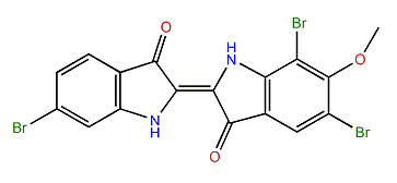 5,6',7-Tribromo-6-methoxyindigotin