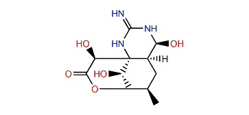 5,6,11-Trideoxy-4-epitetrodotoxin