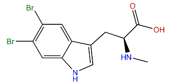 (S)-3-(5,6-Dibromo-1H-indol-3-yl)-2-(methylamino)-propanoic acid