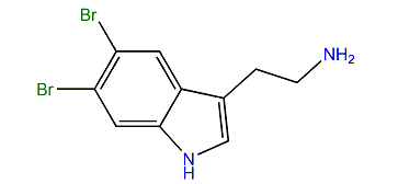5,6-Dibromo-1H-indole-3-ethanamine