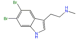 5,6-Dibromo-N-methyl-1H-indole-3-ethanamine