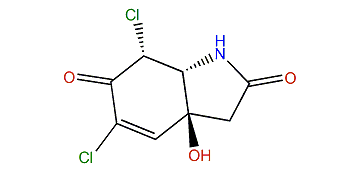 5,7a-Dichlorocavernicolin