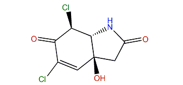 5,7b-Dichlorocavernicolin