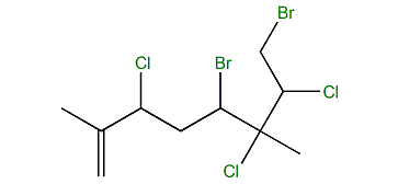 5,8-Dibromo-3,6,7-trichloro-2,6-dimethyl-1-octene