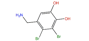 5-(Aminomethyl)-3,4-dibromobenzene-1,2-diol