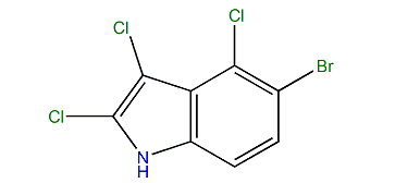5-Bromo-2,3,4-trichloro-1H-indole