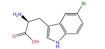 (S)-2-Amino-3-(5-bromo-1H-indol-3-yl)-propanoic acid