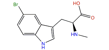 (S)-3-(5-Bromo-1H-indol-3-yl)-2-(methylamino)-propanoic acid