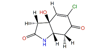 5-Chloro-bromocavernicolin