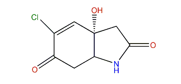 5-Chlorocavernicolin
