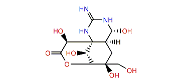 5-Deoxytetrodotoxin