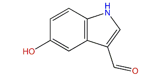 5-Hydroxy-1H-indole-3-carboxaldehyde