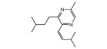 (Z)-5-Methyl-3-isopentyl-2-(3-methylbut-1-enyl)-pyrazine