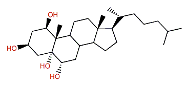 5a-Cholestane-1b,3b,5,6b-tetrol