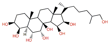 5a-Cholestane-3b,4b,6a,7a,8,15b,16,26-octol