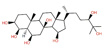 (24R)-5a-Cholestane-3b,4b,6b,8b,15b,24,25-heptol