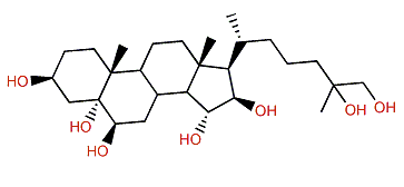 5a-Cholestane-3b,5,6b,15a,16b,25,26-heptol