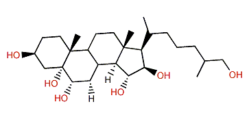 5a-Cholestane-3b,5,6b,15a,16b,26-hexol