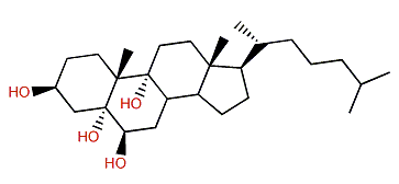 5a-Cholestane-3b,5a,6b,9-tetrol