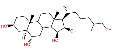 5a-Cholestane-3b,6a,15b,16b,26-pentol