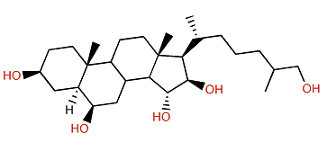 5a-Cholestane-3b,6b,15a,16b,26-pentol