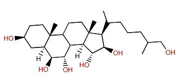 5a-Cholestane-3b,6b,7a,15a,16b,26-hexol