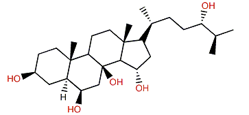 (24S)-5a-Cholestane-3b,6b,8,15a,24-pentol