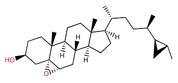 5a,6a-Epoxypetrosterol