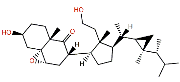 5a,6a-Epoxy-3,11-dihydroxy-9,11-secogorgost-5-en-9-one