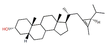 5b-24H-Isocalystan-3a-ol
