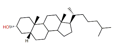 5b-Cholestane-3a-ol