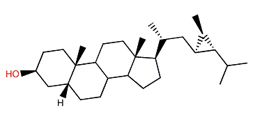 5b-Dihydrocalystanol