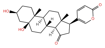 5beta-Hydroxyl-14alpha-artebufogenin