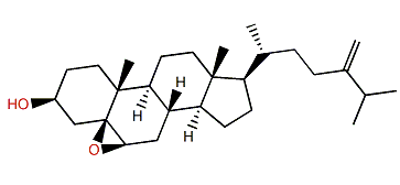 5b,6-Epoxy-24-methylenecholestane-3b-ol
