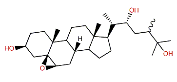 (22R,24xi)-5b,6b-Epoxy-24-methylcholestane-3b,22,25-triol